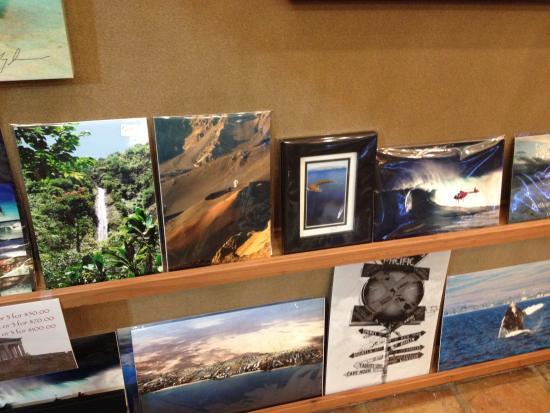 Maui's World Gallery